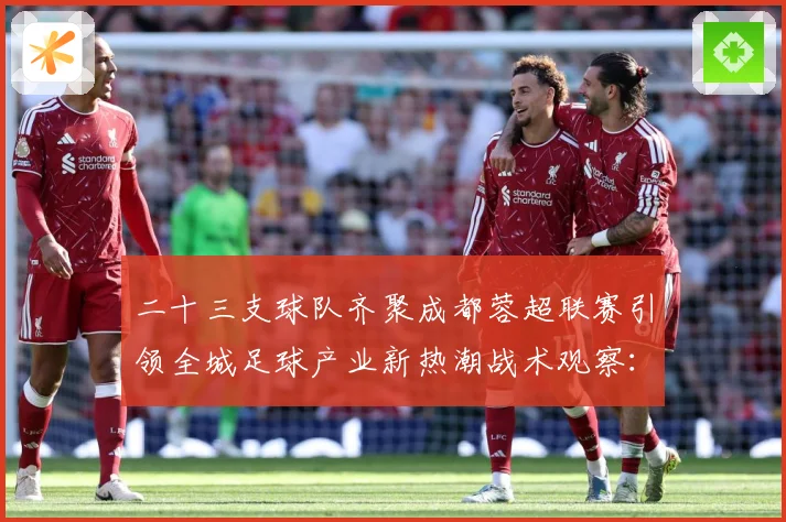 二十三支球队齐聚成都蓉超联赛引领全城足球产业新热潮战术观察：最新赛事动态与深度分析